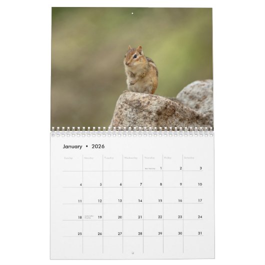 Chipmunk 2026 kalender (Jan 2026)