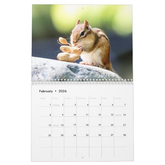 Chipmunk 2026 kalender (Feb 2026)