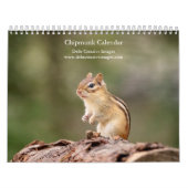 Chipmunk 2026 kalender (Hoes)
