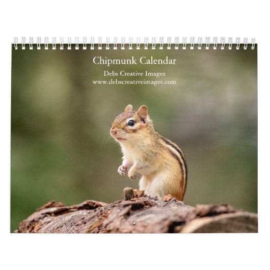 Chipmunk 2026 kalender (Hoes)