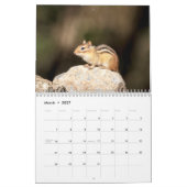Chipmunk 2026 kalender (Mar 2027)
