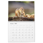 Chipmunk 2026 kalender (Jan 2027)