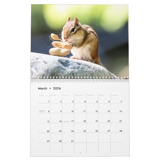Chipmunk 2026 kalender (Mar 2026)