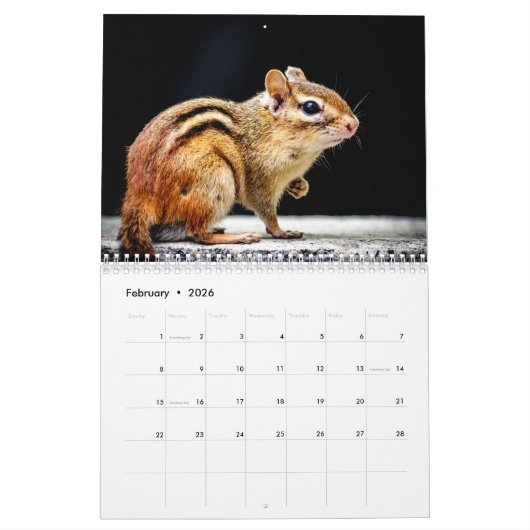 Chipmunk 2026 kalender (Feb 2026)
