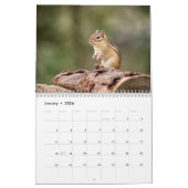 Chipmunk 2026 kalender (Jan 2026)