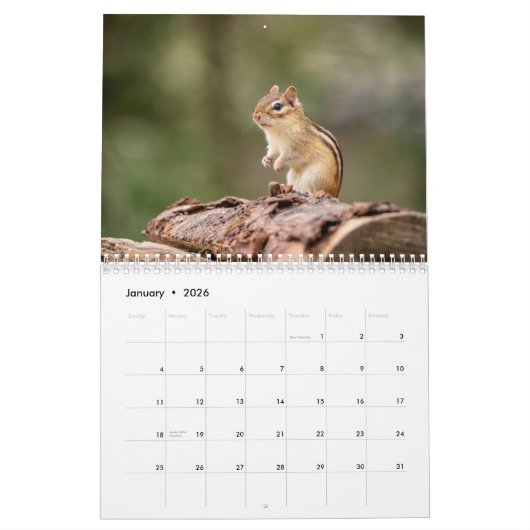 Chipmunk 2026 kalender (Jan 2026)
