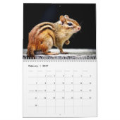 Chipmunk 2026 kalender (Feb 2027)