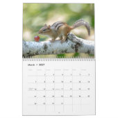 Chipmunk 2026 kalender (Mar 2027)