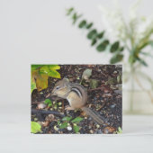 Chipmunk #2 Briefkaart (Staand voorkant)