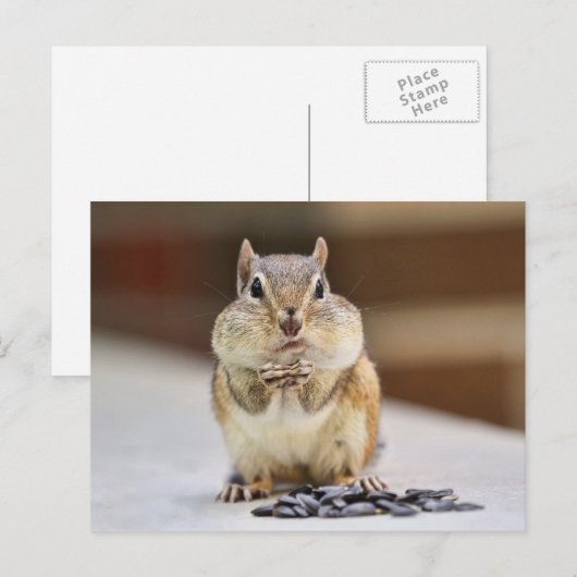 Chipmunk Afbeelding Briefkaart (Voorkant / Achterkant)