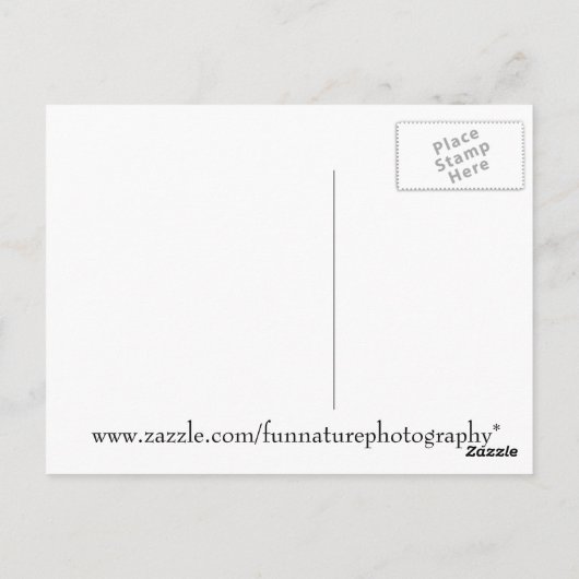 Chipmunk Afbeelding Briefkaart (Achterkant)