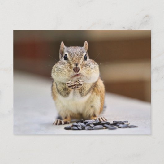 Chipmunk Afbeelding Briefkaart (Voorkant)