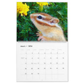 chipmunk  (All country) Kalender (Mar 2026)