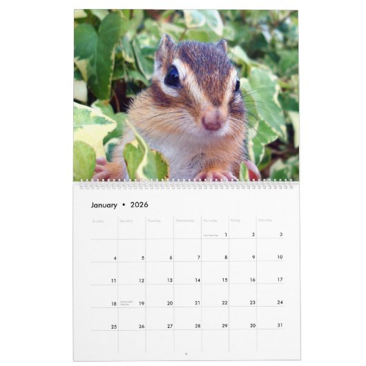 chipmunk  (All country) Kalender (Jan 2026)
