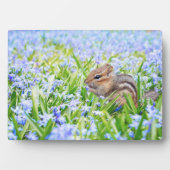 Chipmunk Art Decor Plaque Fotoplaat (voorkant)