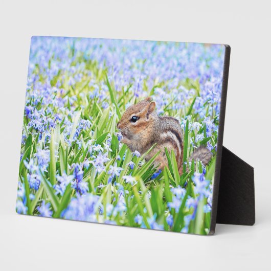 Chipmunk Art Decor Plaque Fotoplaat (Zijkant)