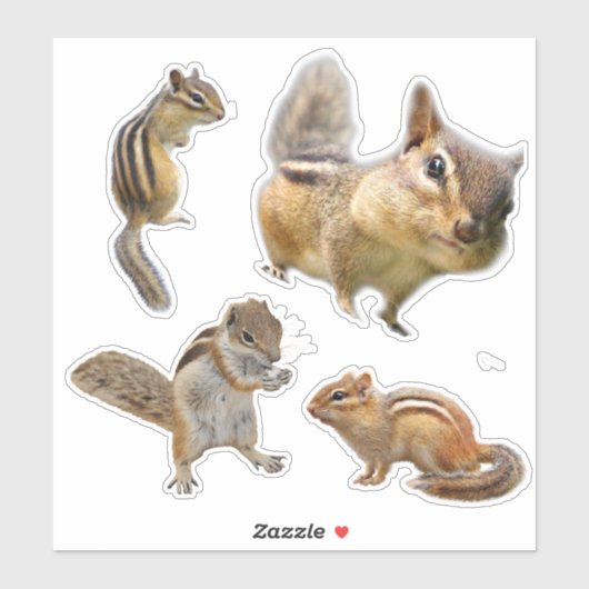 Chipmunk Assorted Sticker Pack (Vel)