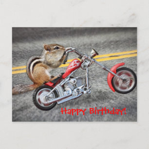 Chipmunk Biker Riding a Motorcycle Briefkaart