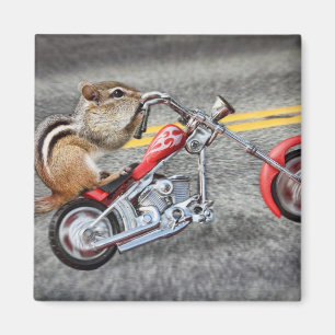 Chipmunk Biker Riding a Motorcycle Magneet