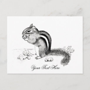 Chipmunk Briefkaart