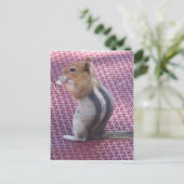 Chipmunk Briefkaart (Staand voorkant)