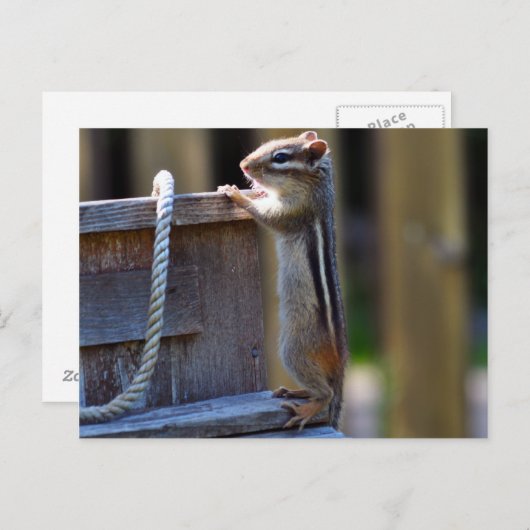 Chipmunk Briefkaart (Voorkant / Achterkant)
