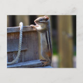 Chipmunk Briefkaart (Voorkant)