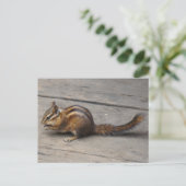 Chipmunk Briefkaart (Staand voorkant)