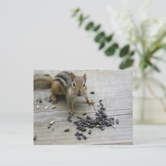 Chipmunk Briefkaart (Staand voorkant)