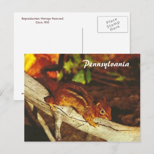 Chipmunk Briefkaart (Voorkant / Achterkant)