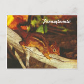 Chipmunk Briefkaart (Voorkant)