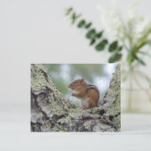 Chipmunk Briefkaart (Staand voorkant)