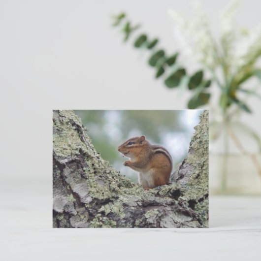 Chipmunk Briefkaart (Staand voorkant)