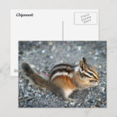 Chipmunk Briefkaart (Voorkant / Achterkant)