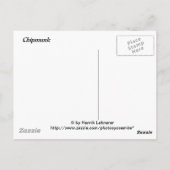 Chipmunk Briefkaart (Achterkant)