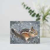 Chipmunk Briefkaart (Staand voorkant)