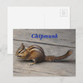 Chipmunk Briefkaart (Voorkant / Achterkant)