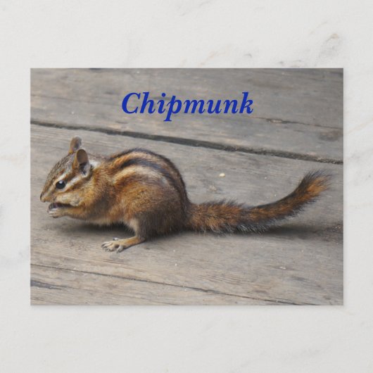 Chipmunk Briefkaart (Voorkant)