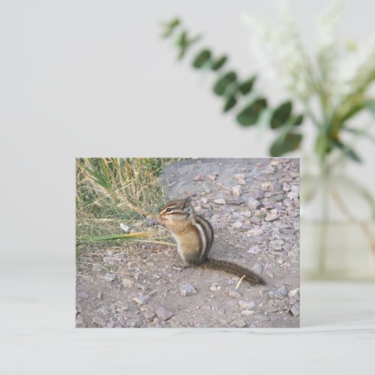 Chipmunk Briefkaart (Staand voorkant)
