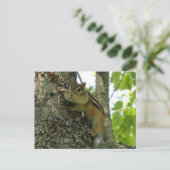 Chipmunk Briefkaart (Staand voorkant)