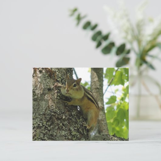 Chipmunk Briefkaart (Staand voorkant)