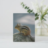 Chipmunk Briefkaart (Staand voorkant)
