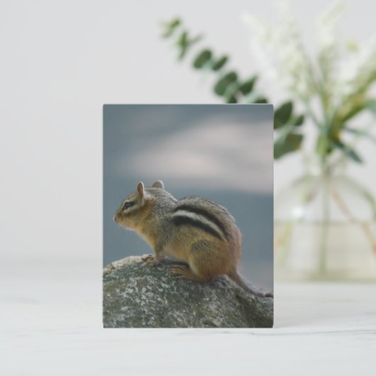 Chipmunk Briefkaart (Staand voorkant)