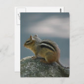 Chipmunk Briefkaart (Voorkant / Achterkant)