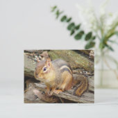 Chipmunk Briefkaart 2 (Staand voorkant)