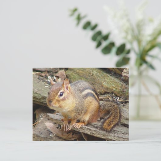Chipmunk Briefkaart 2 (Staand voorkant)