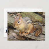 Chipmunk Briefkaart 2 (Voorkant / Achterkant)