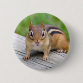 Chipmunk Button (Voorkant)