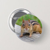 Chipmunk Button (Voorkant /achterkant)
