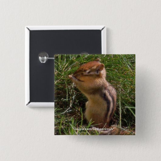 Chipmunk-Button Vierkante Button 5,1 Cm (Voorkant /achterkant)